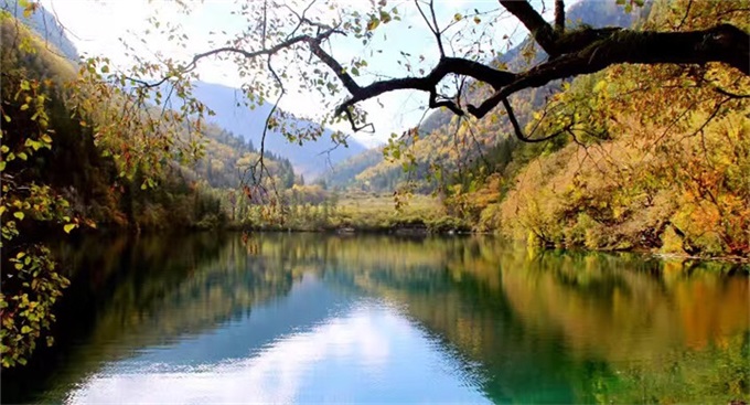 首页- Z6官网中国区人生就是博